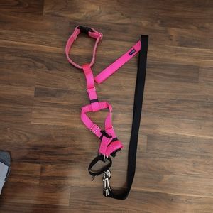 Medium Dog Harness